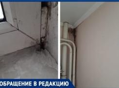 Таганрожцы остались один на один со своей бедой 