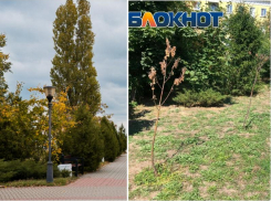 Повтор ошибок Октябрьской площади? На Пушкинской набережной Таганрога хотят сделать капельный полив