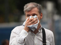 На НТВ заявили, что Таганрог - очень экологичный город 