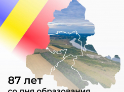 87 лет силы и единства: Ростовская область отмечает день рождения