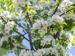 Таганрожцев ждут всего два дополнительных выходных в мае