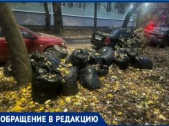 Катастрофа и антисанитария: мешки с листвой уже много месяцев гниют на переулке в Таганроге