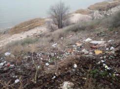 «В Донецке намного чище»: «свиньи» загадили вид на море в Таганроге