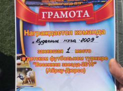 Юные футболисты из таганрогской команды «Кудесник мяча - 2009» одержали   победу в турнире