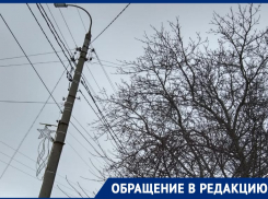 «Они опять ждут, когда беда будет?»: ветки на проводах напугали таганроженку 