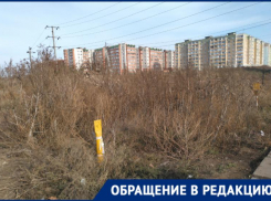 «Нам страшно идти через заросли с детьми», - жалуются таганрожцы из нового микрорайона