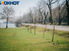 В Таганроге в субботу пройдет дождь, а в воскресенье будет тепло и ясно