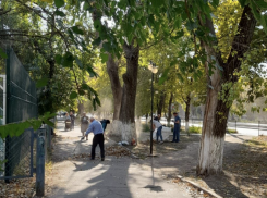 Убирать город самим снова предложили таганрожцам