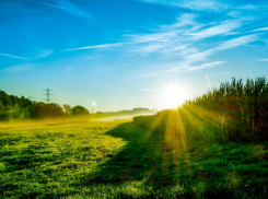 «Цель была другая»: Минсельхозпрод не согласен с предположениями «Блокнота Таганрог»