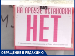 Потребность есть, а остановки нет: проблема маршруток в Таганроге остается прежней 