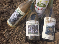 Под Таганрогом нашли винный погреб брошенный немцами