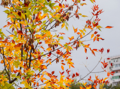 26 ноября — день Иоанна Златоуста: как таганрожцам правильно провести день и чего избегать