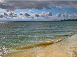 В Таганрогском заливе гибнет рыба