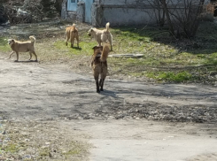 «Степок» - самый забытый Таганрогский сквер 