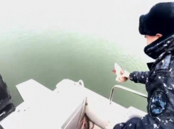 850 метров сетей и 40 кг рыбы: в Таганрогском заливе прошли рейды по защите биоресурсов