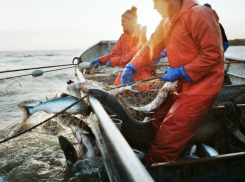 В Таганрогском заливе фельдшер спас жизнь моряку