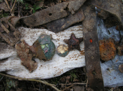 Поисковые отряды продолжают искать и находить останки воинов  под Таганрогом