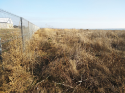 Администрацию Неклиновского района привлекут за складирование отходов и отсутствие покоса