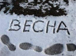 В Таганрог пришли обещанные заморозки 