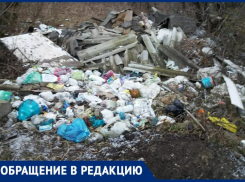  Варварство в ЖК «Андреевский» Таганрога превращает красоту природы в мусорные свалки