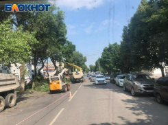 На центральной улице Таганрога началось кронирование деревьев