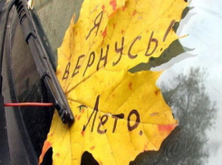 Жителей Таганрога это осенью ждет сразу два бабьих лета