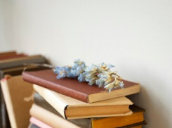 После февральской акции в Таганроге сельские библиотеки обогатили свой фонд