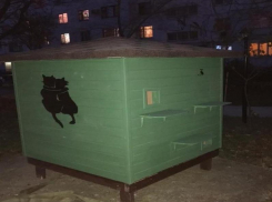 Таганрожец построил дом для бездомных котов