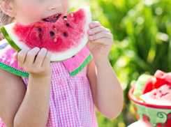 Правильно выбрать арбуз таганрожцев научил агроном: вкуснее «мальчик» или «девочка»? Миф развеян