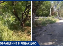 Горожане о Таганроге: «Как будто в забытом Богом городе живём»