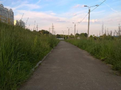 Нескошенная вовремя трава на улицах Таганрога не дает городу выбыть из списка штрафников