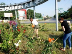 Студенты призывают таганрожцев украсить город цветами