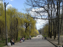 Бьют остановки и рушат скверы: таганрожцы для борьбы с вандалами требуют установить камеры с ИИ