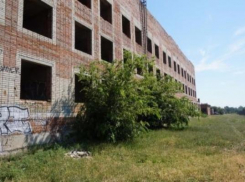 Молодежь Таганрога лишится мест для фотосессий