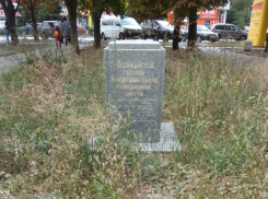 Памятник чернобыльцам зарос бурьяном в Таганроге