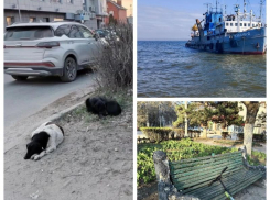 Таганрогский порт готовят к приёму круизных лайнеров, но звать гостей в город всё ещё стыдно