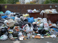 Таганрог попал в список самых замусоренных городов Ростовской области