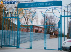 80-летний пенсионер сорвался с обрыва в Приморском парке