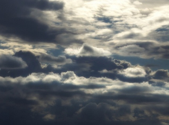 Летают деревья и рвутся провода: погода пошалила в Таганроге