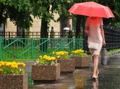 Погода в Таганроге на предстоящие 5 дней: жара и дождь ожидают горожан 