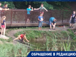 В Таганроге жестокие дети ловят на удочки черепах в роще Дубки