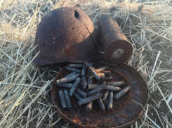 Под Таганрогом нашли останки сапера и целый арсенал времен ВОВ 