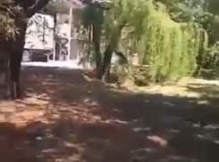 «Богом забытое место» порадовало таганроженку