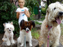 Таганроженка призывает горожан убирать за своими собаками