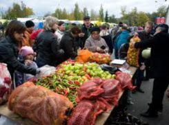 Первая весенняя ярмарка местных производителей пройдет в Таганроге