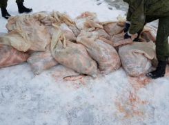 В Таганроге задержан мужчина, наловивший рыбы почти на 2 млн рублей