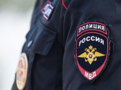 Полиция Таганрога не желает иметь дело с живодерами