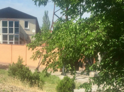 Один - на выход, второй -  приготовься  мангал ломать в Таганроге