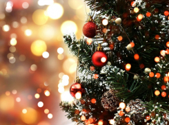 На Дону стартовала акция «Ёлка желаний»