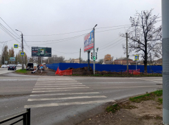 В Таганроге вырубят 15 деревьев ради стройки